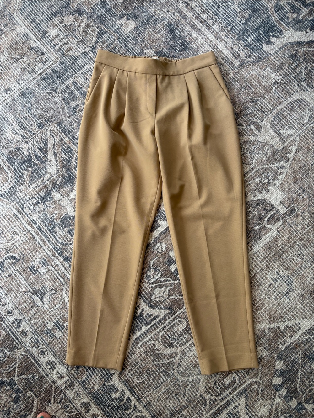 Babaton Tailored Pleated Chinos in Camel-Tan